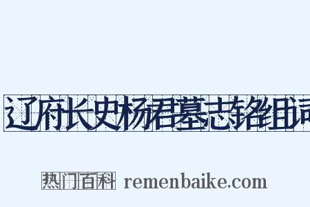 辽府长史杨君墓志铭组词是什么意思的图片